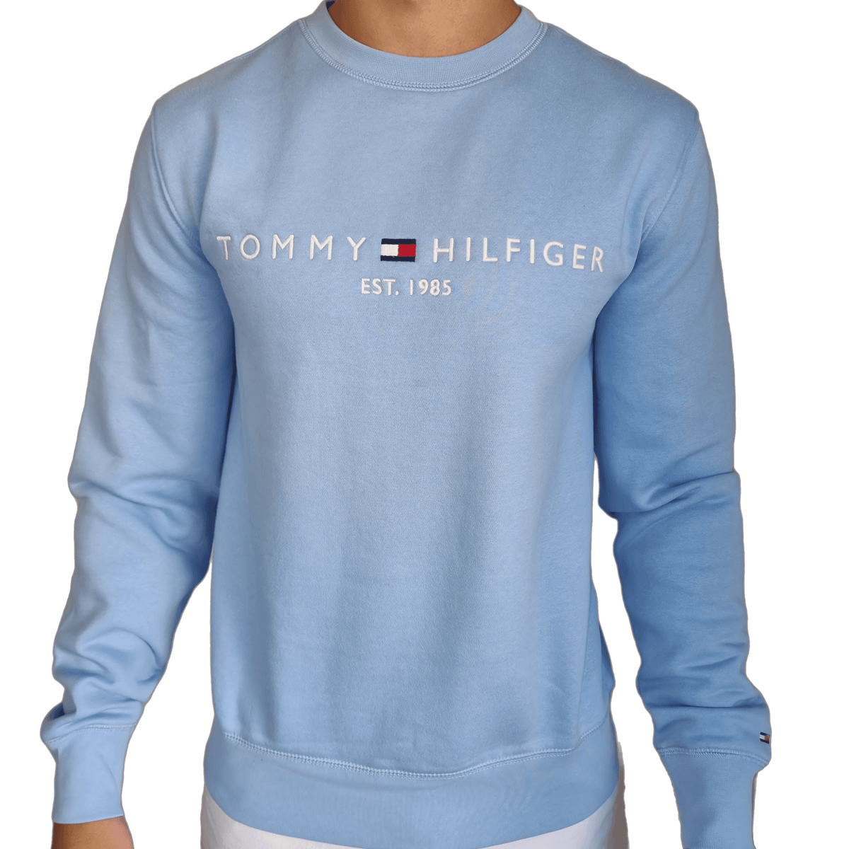 Hoodie Tommy Ραφ